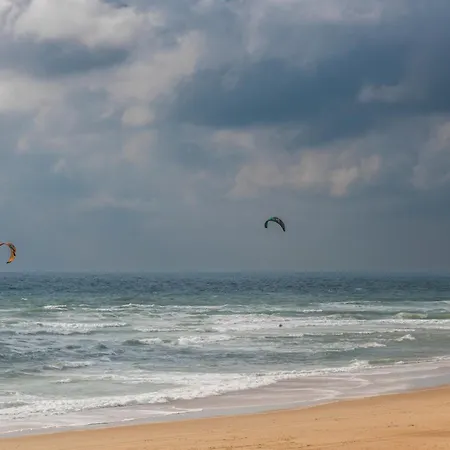Cerise Dax - Les Jardins Du 3*