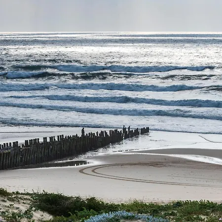 Cerise Dax - Les Jardins Du Apart-hotel
