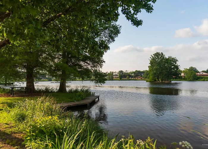 Cerise Dax - Les Jardins Du 3*