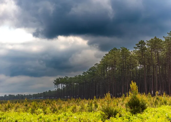 Cerise Dax - Les Jardins Du 3* Saint-Paul-lès-Dax
