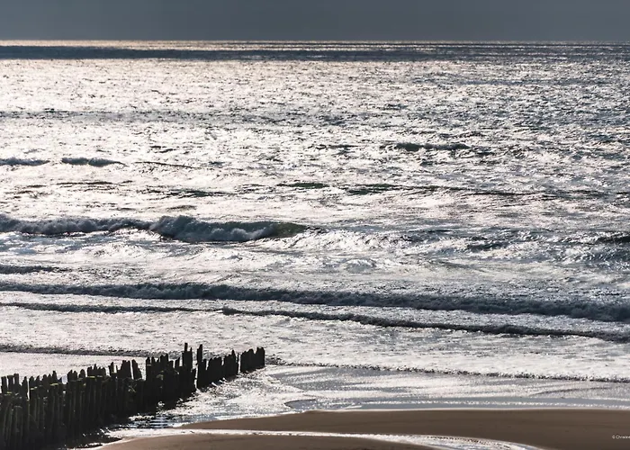 Apart-hotel Cerise Dax - Les Jardins Du Saint-Paul-lès-Dax