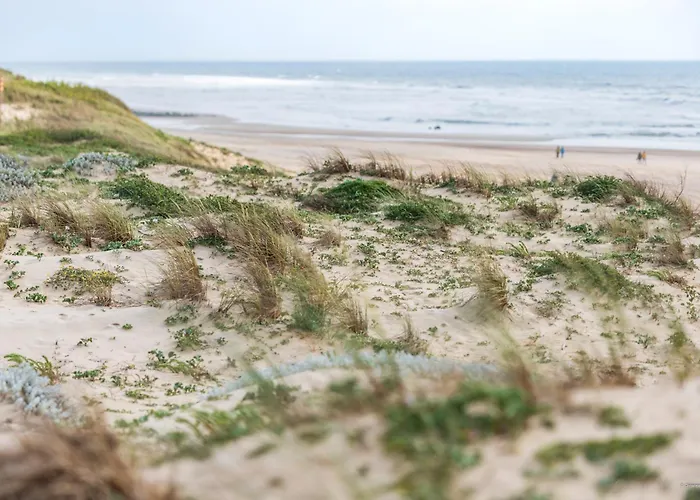 Cerise Dax - Les Jardins Du Lägenhetshotell 3*