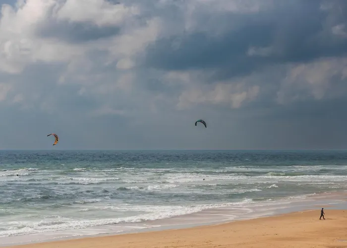 Cerise Dax - Les Jardins Du 3*
