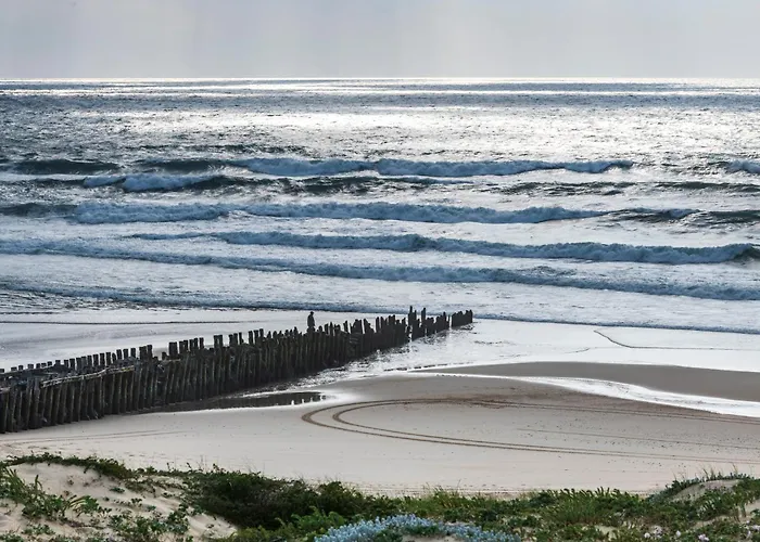 Cerise Dax - Les Jardins Du Apart-hotel