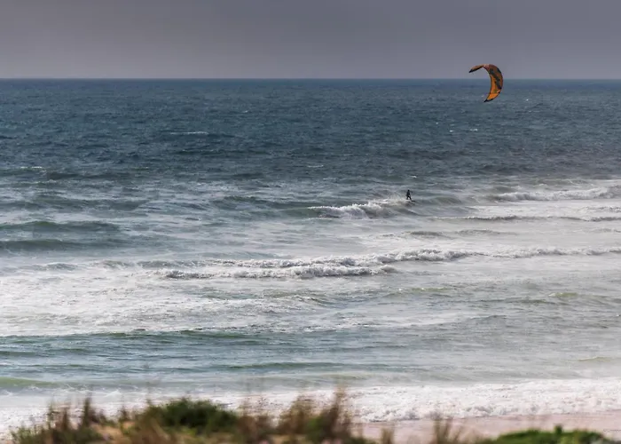 Cerise Dax - Les Jardins Du